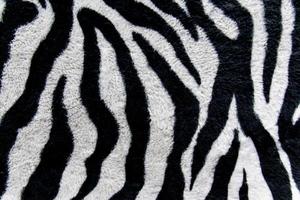 texture of print fabric stripes zebra for background photo