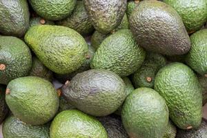 avocado fresh food