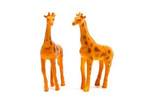 modelo de jirafa aislado sobre fondo blanco, juguetes de animales de plástico foto