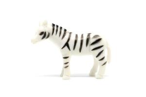 Zebra model isolated on white background, animal toys plastic photo