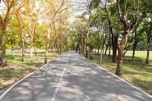 Long road with green field photo