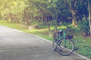 bicicleta en el parque foto