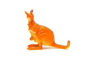 Kangaroo model isolated on white background, animal toys plastic photo