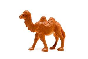 modelo de camello aislado sobre fondo blanco, juguetes de animales de plástico foto