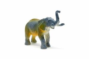 Elephant model isolated on white background, animal toys plastic photo