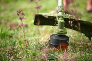 Trimer mows grass close-up. Fishing line in motion and grass particles in the air. Care of the lawn and the area near the house, summer cottage, landscape design, floristry, garden and crop. Copyspace photo