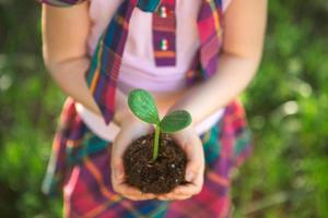 Young green sprout in the hands of a child in the light of the sun on a background of green grass. Natural seedlings, eco-friendly, new life, youth. The concept of development, peace, care. Copy space photo