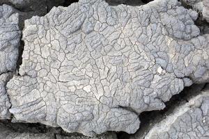 The texture of gray cracked earth, dried volcanic clay with cracks. Ultimate Gray. Natural background, copyspace photo