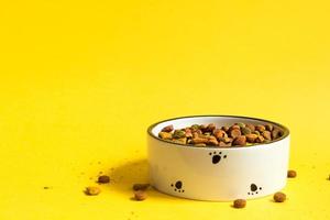Pet food bowl with dry granulated food on a yellow background. Food for a cat or dog is poured into a white bowl. Copy space.