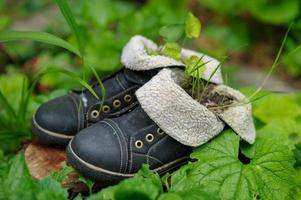 Old leather boots and a sprout on a green background with leaves. photo