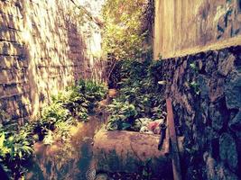 View of the narrow small river in the culvert photo