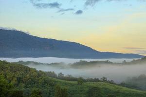 Fog flow through Khao yai National Park mountain valley in the morning light during rainy season, Thailand photo