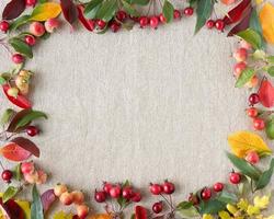 Autumn background of berries, small wild apples, acorns and leaves gray linen textile background photo