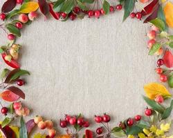 Autumn background of berries, small wild apples, acorns and leaves gray linen textile background photo