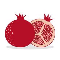 Ripe pomegranate and half a pomegranate. Isolated on white background. vector