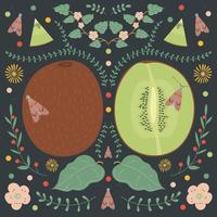 Kiwi on a dark background with floral elements, flowers, leaves and moths. vector