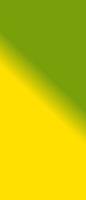 Color Gradients Background Of Green Yellow photo