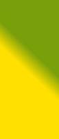 Color Gradients Background Of Green Yellow photo