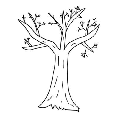 Cartoon bare winter tree in doodle style isolated on white background. Fall plant.