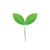 A seed of green leaf vector, micro green seed icon design and fresh natural green baby vegetable seed isolated item. vector