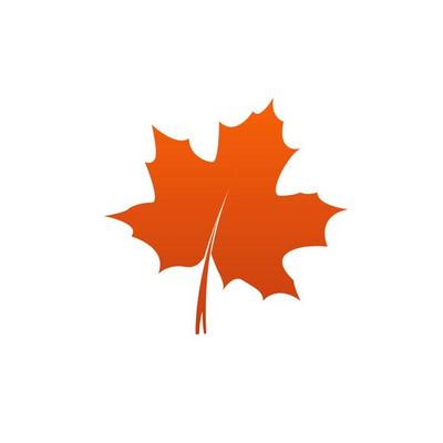 A Red maple leaf on white background. autumn leaf of maple symbol as a seasonal themed concept used in icon, logo of the fall weather on an isolated vector, illustration