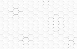 modern minimal elegant hexagon background vector