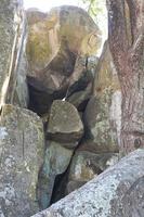 Large stone niches overlap. photo