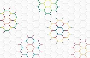 modern minimal elegant hexagon background vector