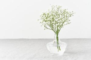 flores de gypsophila en jarrón de vidrio. luz tenue, minimalismo escandinavo, foto