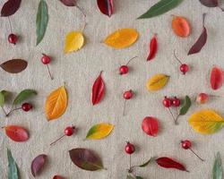 Autumn background of berries, small wild apples, acorns and leaves o gray linen textile background photo