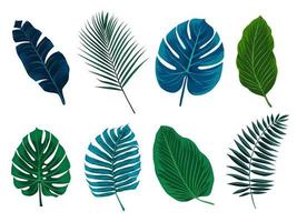 colección de hojas tropicales exóticas. plantas hawaianas ambientadas en colores azul y verde. elementos vectoriales aislados en un fondo blanco. vector