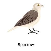 Catch a sight of this beautiful sparrow icon, flat vector