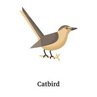 An editable flat icon of catbird, vector design