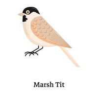 un ícono plano bien diseñado de marsh tit vector