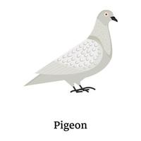 An editable flat icon of pigeon in vector format