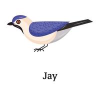 Download beautifully designed flat icon of jay vector