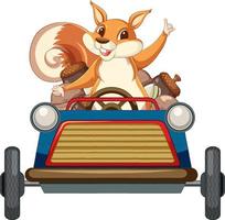 Cute squirrel driving car vector