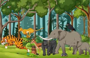 Wild animals in nature forest scene vector