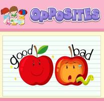 Opposite words with pictures for kids vector