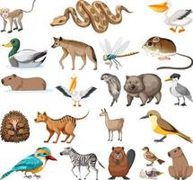 Different kinds of animals collection vector