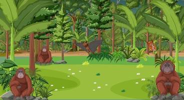 Orangutans cartoon character in the forest scene vector