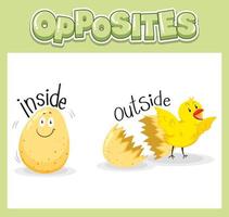 Opposite English words for kids vector