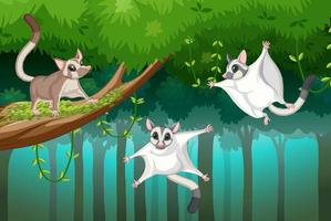 Scene with sugar gliders in the woods vector