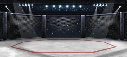 MMA Octagon Arena Stage Background vector
