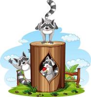 Three raccoons playing in the park vector