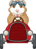 Guinea pig driving car toy cartoon vector