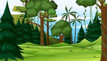 Empty forest environment background vector