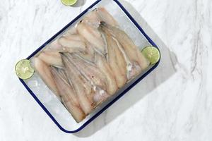 Raw fillet of white fish catfish on a cutting board. White background. photo