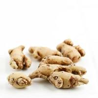 Raw Kencur or Cikur, Known as Aromatic Ginger photo