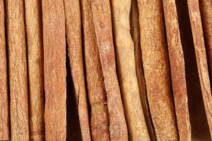 Cinnamon Stick for Background photo